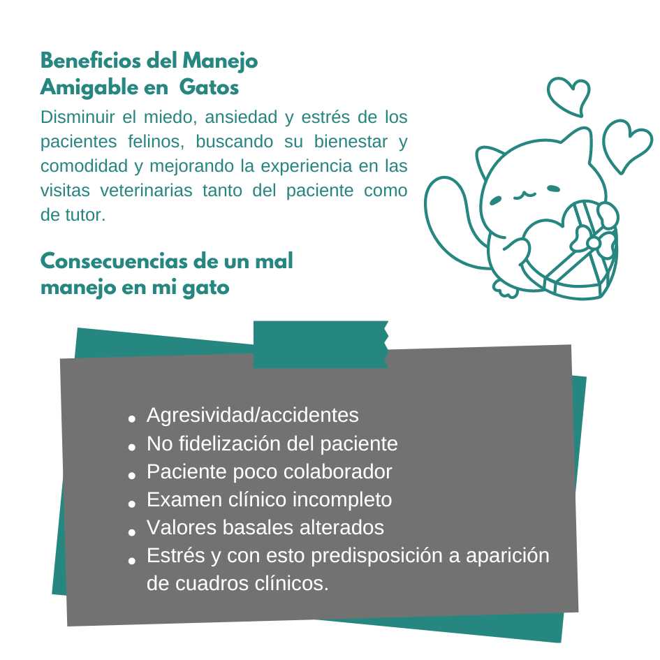 Animal Friendly médicos veterinarios