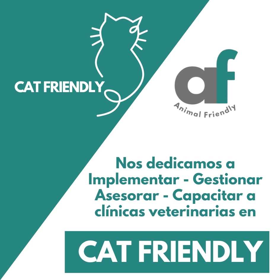 Animal Friendly médicos veterinarios. Cat Friendly