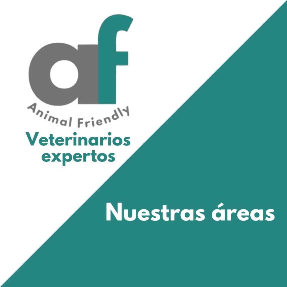 Animal Friendly médicos veterinarios