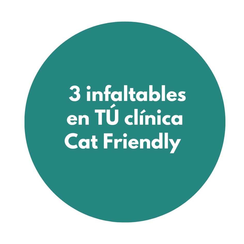 3 infaltables en TÚ clínica Cat Friendly. Animal Friendly médicos veterinarios