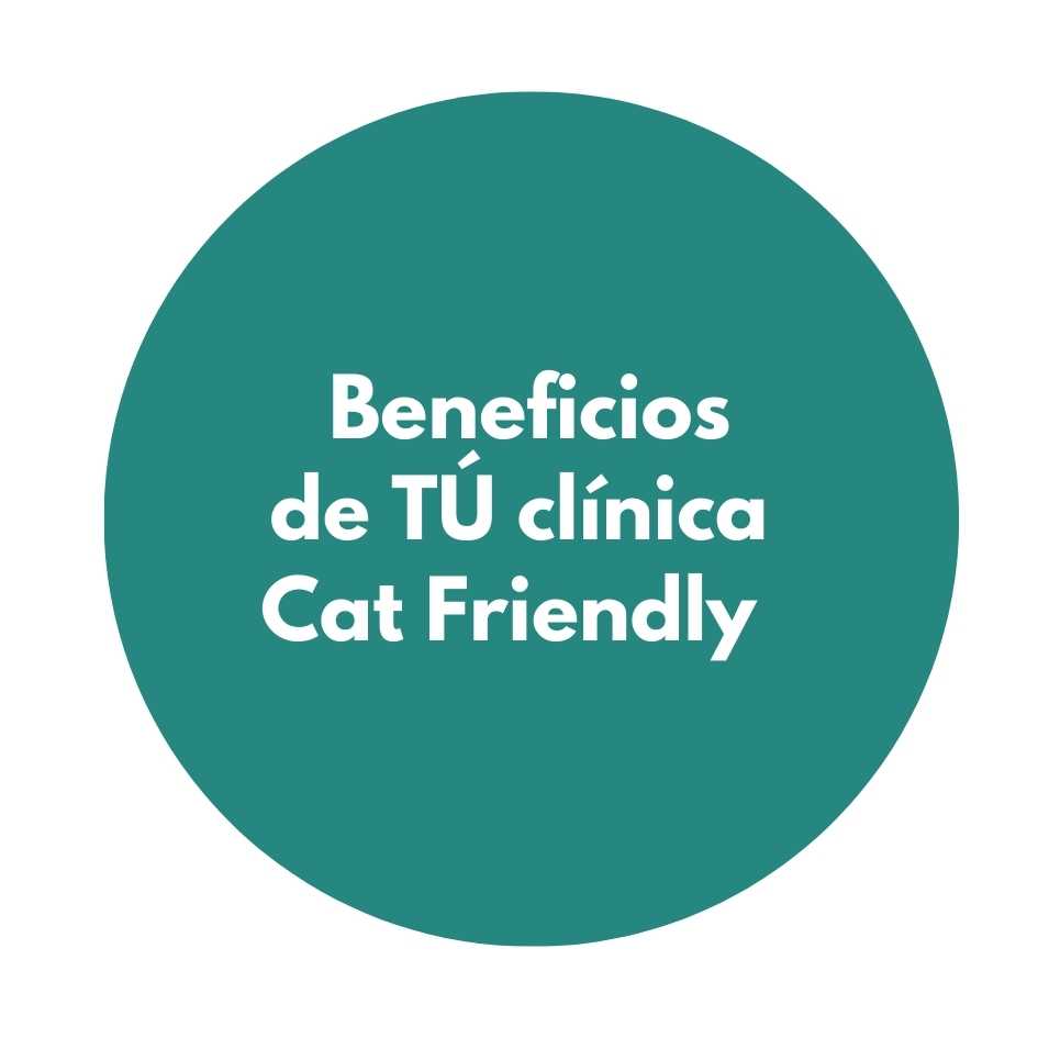 clínica Cat Friendly. Animal Friendly médicos veterinarios